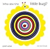 Who Ate the Little Bug?