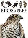 Birds of Prey (Mini Encyclopedia)