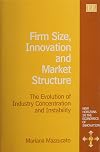 Firm Size, Innovation, and Market Structure: The Evolution of Industry Concentration and Instability