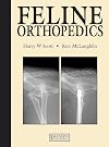 Feline Orthopedics