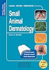 Small animal dermatology