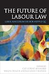 The future of labour law liber amoricum Bob Hepple QC