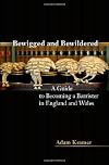 Bewigged and Bewildered?: A Guide to Becoming a Barrister in England and Wales (Second Edition)