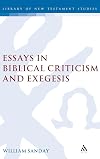 Essays in biblical criticism and exegesis