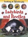Ladybirds and Beetles (Looking at Minibeasts)