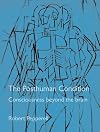 The Posthuman Condition: Consciousness Beyond the Brain