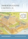Norman Stone Castles 1: The British Isles 1066-1216