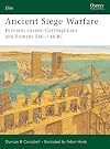 Ancient Siege Warfare: Persians, Greeks, Carthaginians and Romans 546-146 BC