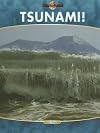 Tsunami! (Nature's Fury)