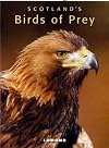 Scotland's Birds of Prey