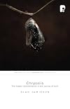 Chrysalis: The Hidden Transformation in the Journey of Faith (Faith in an Emerging Culture)