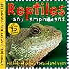 Reptiles and Amphibians (Smart Kids Sticker Books)