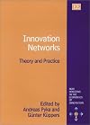 Innovation Networks: Theory and Practice (New Horizons in the Economics of Innovation Series)