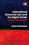 International Economic Law And Digital Divide: New Silk Road? (Elgar International Economic Law)