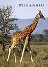 WILD ANIMALS