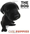 Cute Puppies