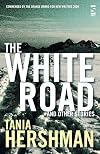 The White Road and Other Stories (Salt Modern Fiction)