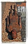 Flung Clear (Salt Modern Poets)