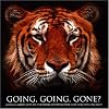 Going, Going, Gone?: Animals on the Brink of Extinction and How to Turn the Tide