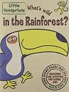 In the Rain Forest