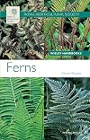 Ferns