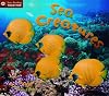 Sea Creatures (Start Reading)