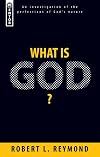What Is God?: An Investigation into the Perfections of God's Nature