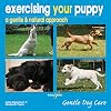 Exercising Your Puppy: a gentle & natural approach (Gentle Dog Care Series)