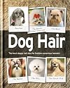 Dog Hair