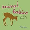 Animal Babies in the Forest!