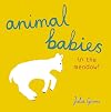 Animal Babies in the Meadow!