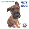 The Dog: Your Best Friend (Artist Collection)