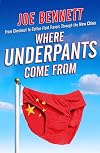 Where Underpants Come from: From Checkout to Cotton Field - Travels Through the New China