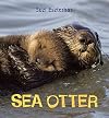 Sea Otter (Eye on the Wild)