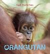 Orangutan (Eye on the Wild)