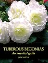 Tuberous Begonias: An Essential Guide