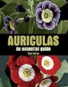 Auriculas: An Essential Guide