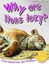 Why Are Lions Lazy? (First Questions And Answers: Big Cats)