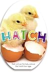 Hatch
