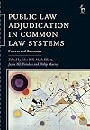 Public law adjudication in common law systems : process and substance