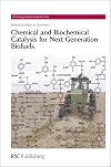 Chemical and biochemical catalysis for next generation biofuels