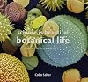 Science Is Beautiful: Botanical Life: Under the Microscope