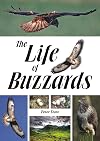The life of buzzards