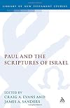 Paul and the Scriptures of Israel (The Library of New Testament Studies)