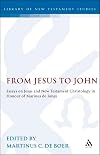 From Jesus to John : essays on Jesus and New Testament Christology in honour of Marinus de Jonge