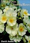 Shrub Roses and Climbing Roses