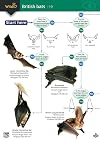 British Bats (WildID)