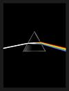 Pink Floyd: Their Mortal Remains