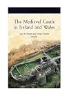 The Medieval Castle in Ireland and Wales: Essays in Honour of Jeremy Knight