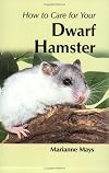 Your First Dwarf Hamster
